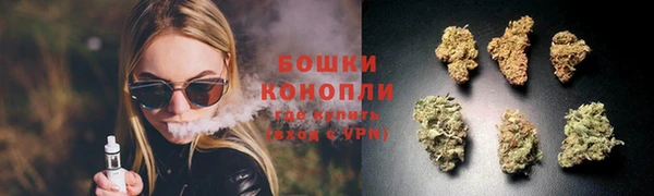 крисы Белоозёрский