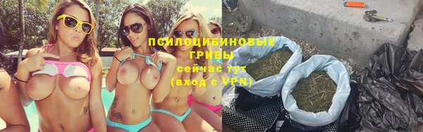 крисы Белоозёрский