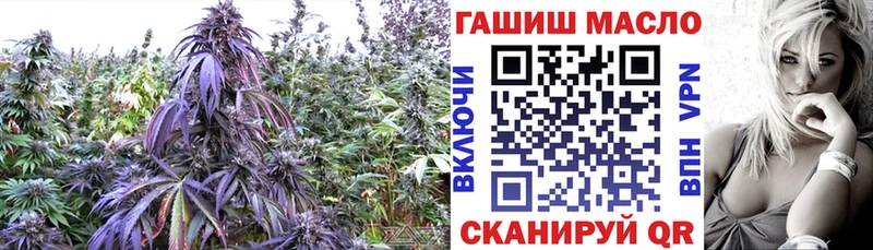 MEGA ONION  Сердобск  Дистиллят ТГК вейп с тгк 