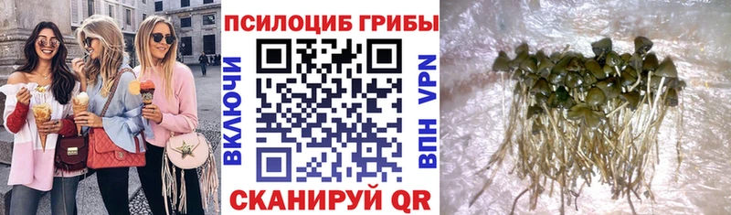 Псилоцибиновые грибы мухоморы  Сердобск 